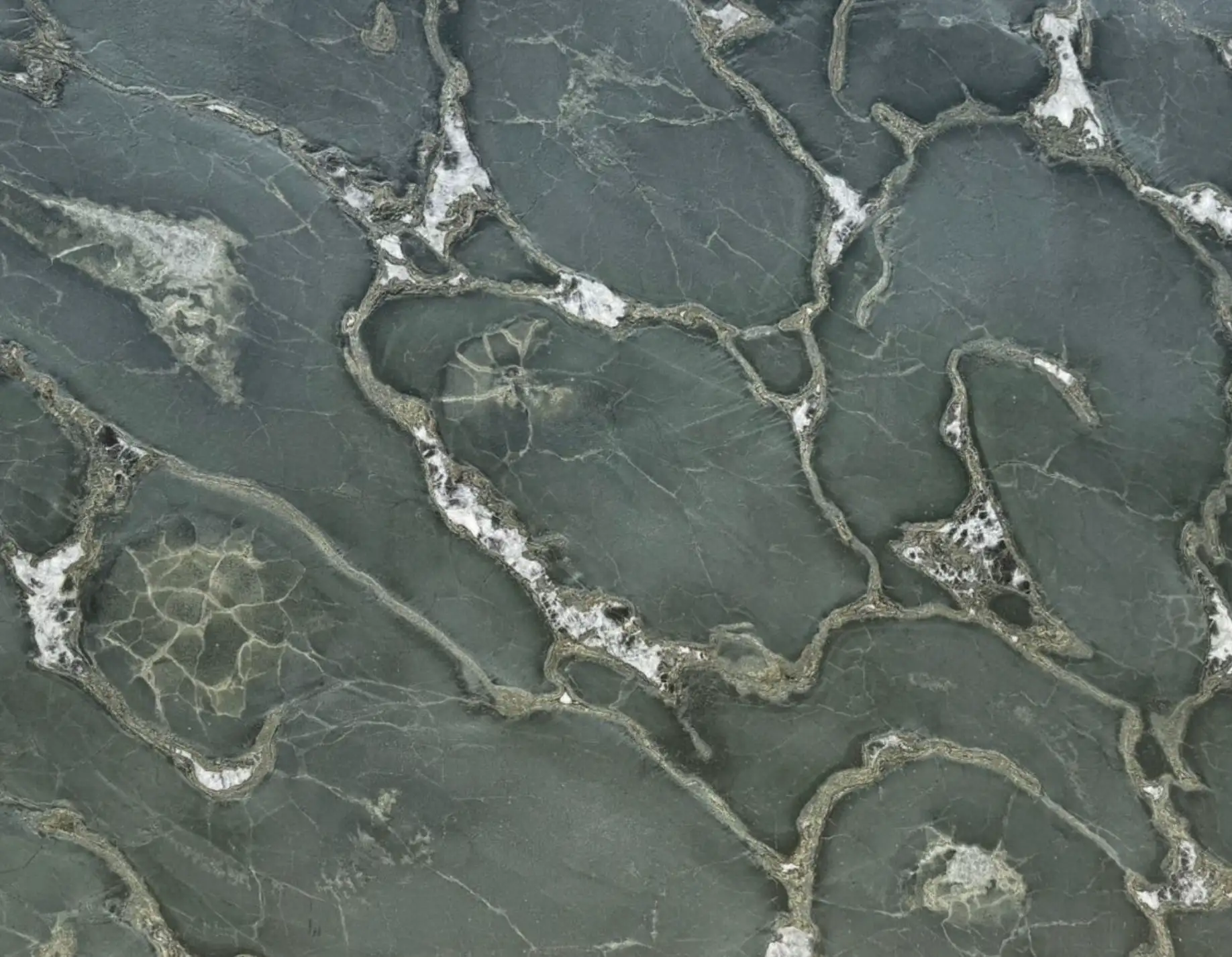 Safari Green Quartzite