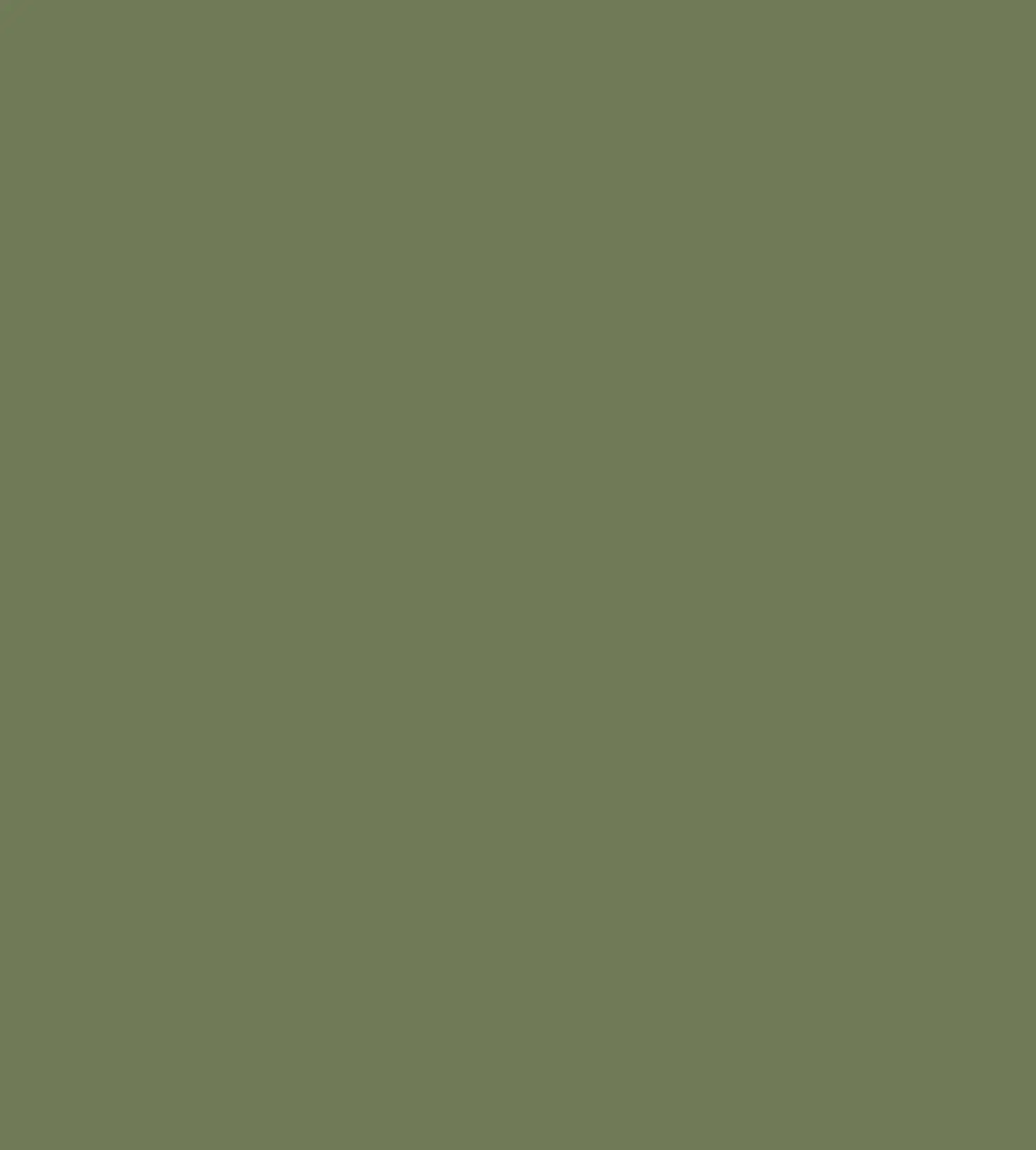 Olive green #6F7A57 paint sample used for the RenoViz laundry cabinet visualization.